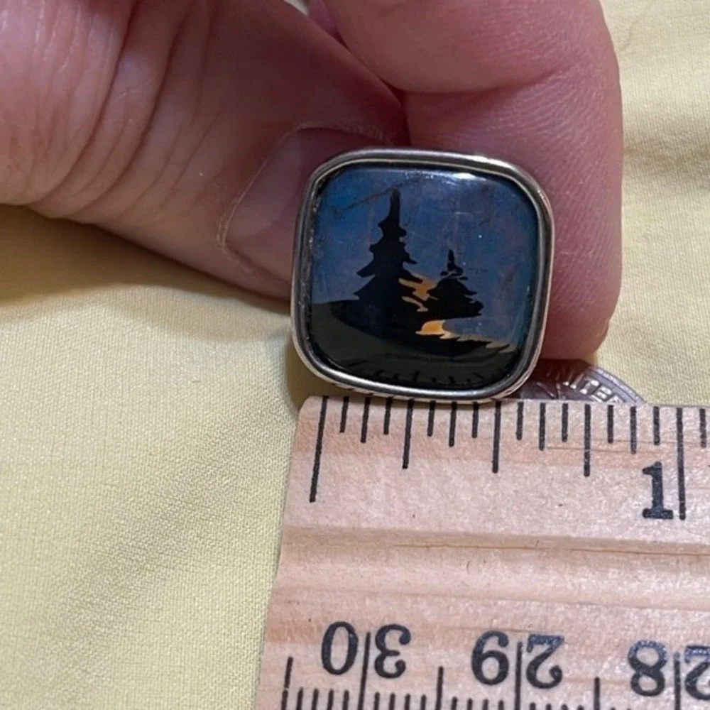 Unique‎ 70's Mens Cufflinks Butterfly Wing Silhouette Trees Night Sky Scene